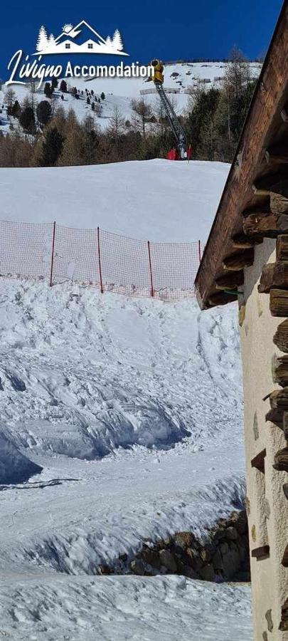 Mountain Chalet Scoiattolo By Livigno Accomodation ภายนอก รูปภาพ