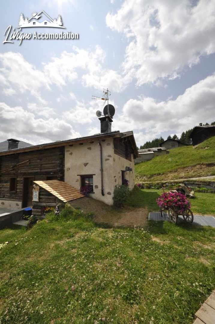 Mountain Chalet Scoiattolo By Livigno Accomodation ภายนอก รูปภาพ