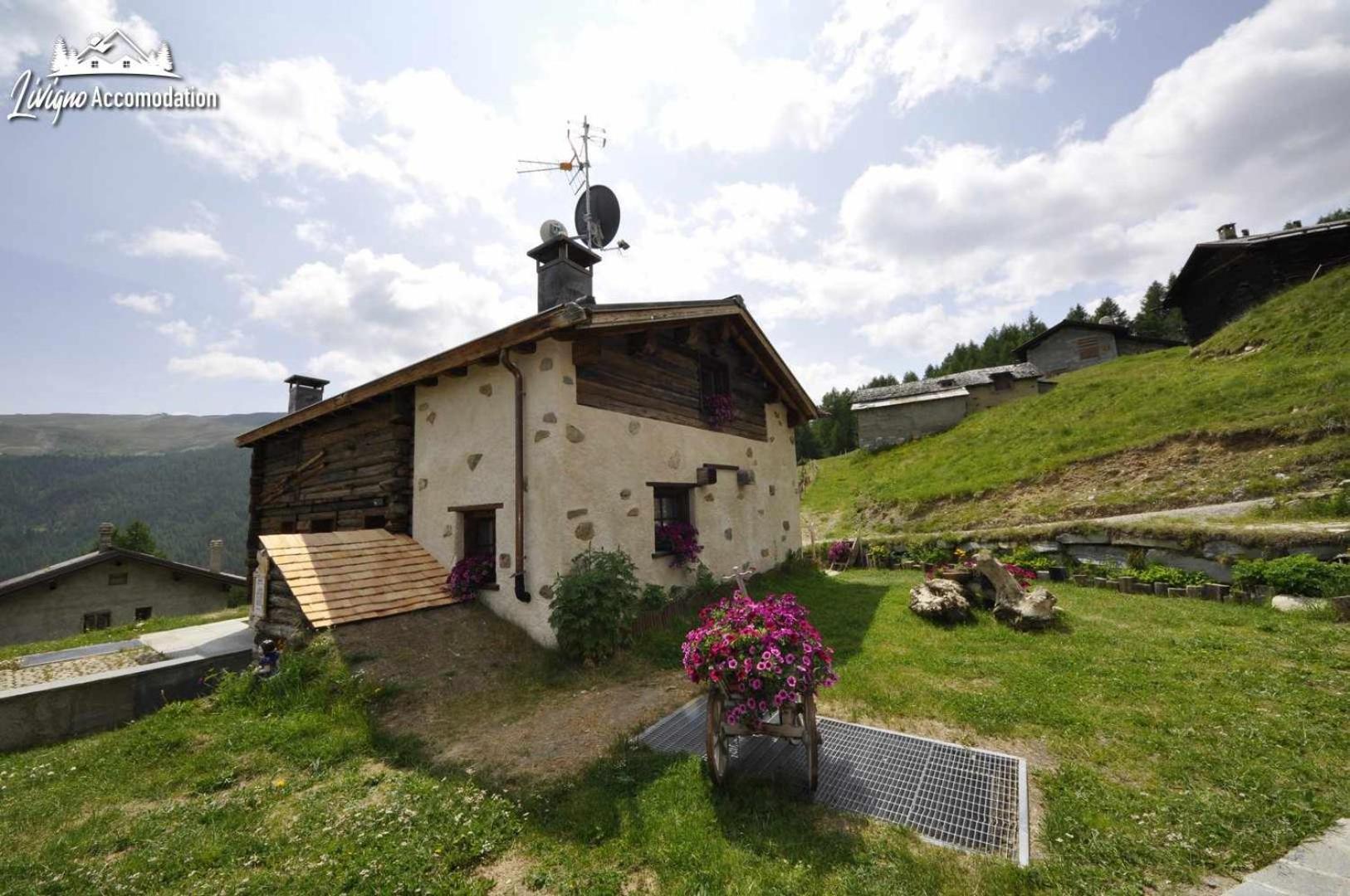 Mountain Chalet Scoiattolo By Livigno Accomodation ภายนอก รูปภาพ